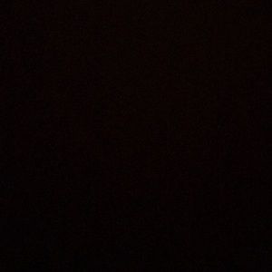 Meet your Posher, Lily